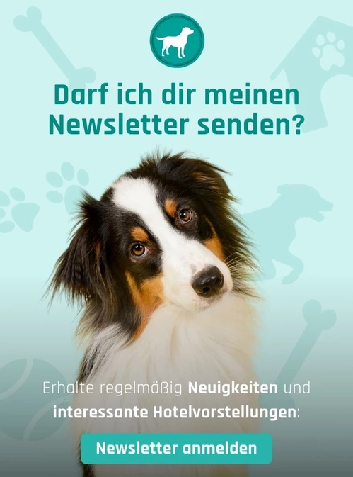 Zum Newsletter anmelden