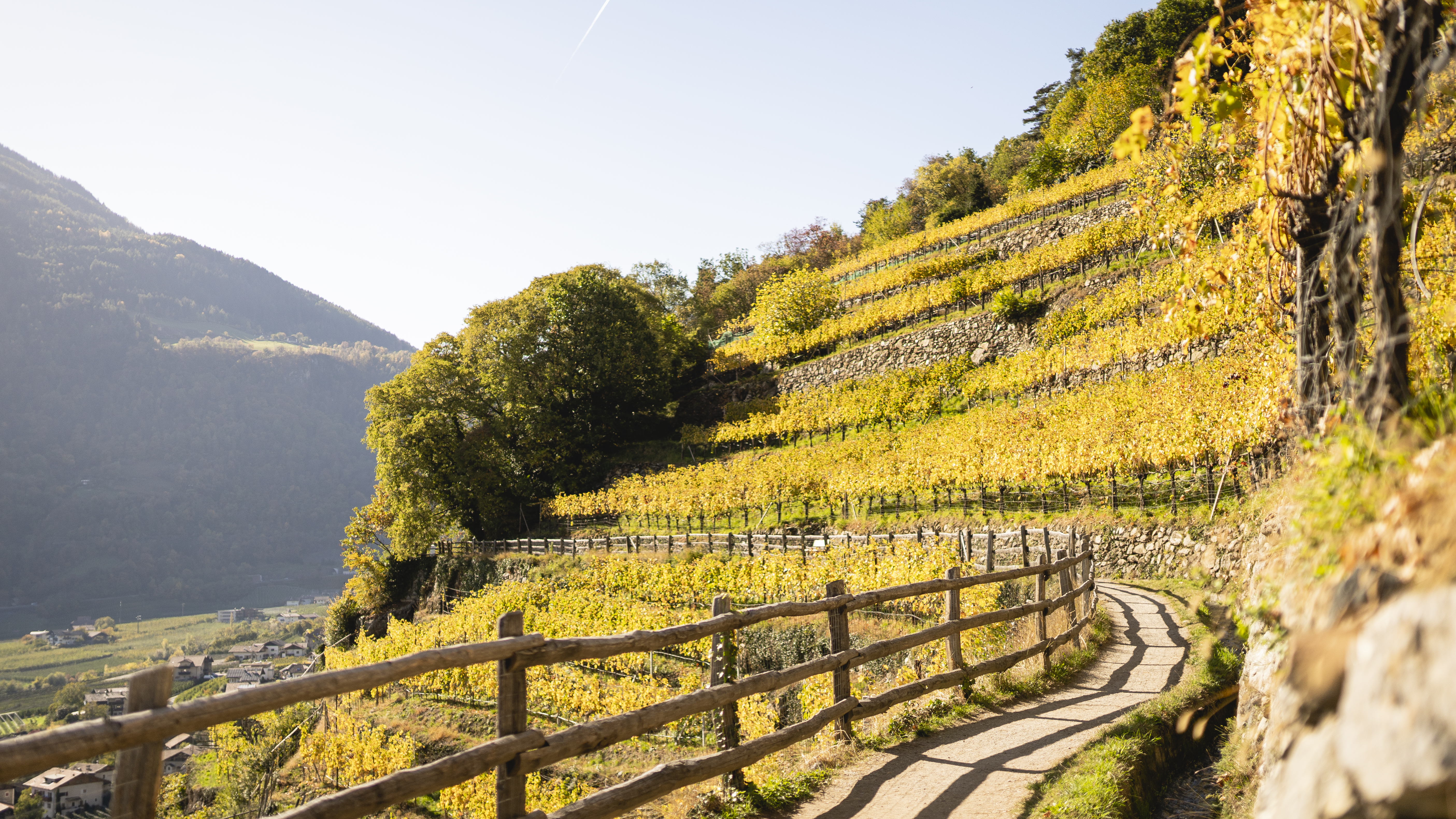 GOLDENER HERBST - Ihr Törggele-Genuss - Hotel Der Heinrichshof & Residence 