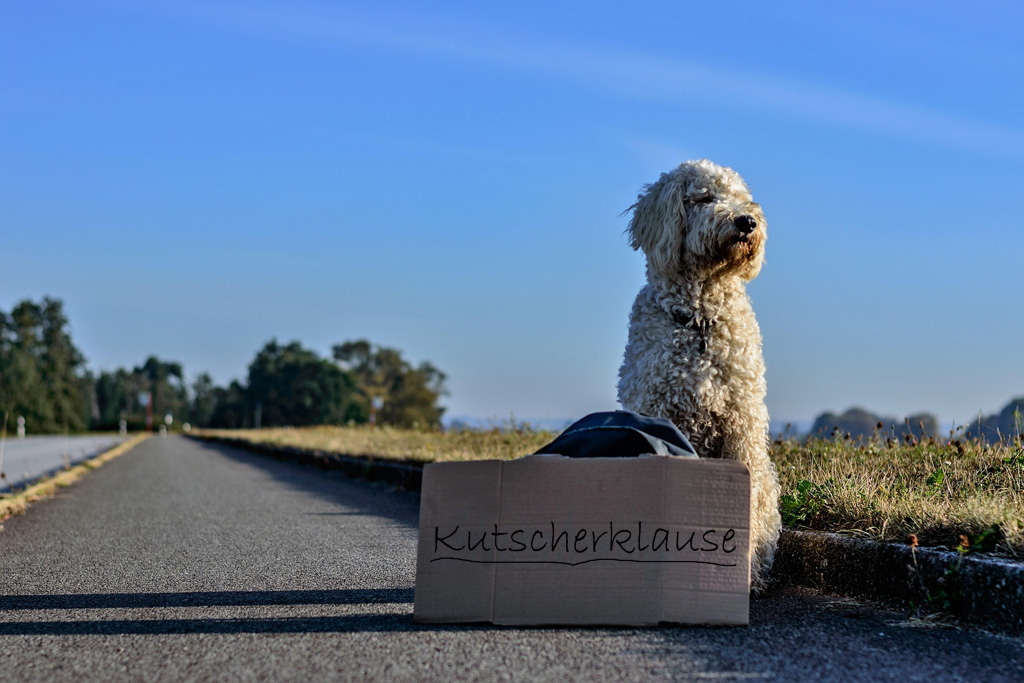 Arrangement "SCHNÜFFEL (R)AUSZEIT" - Genießergasthof Kutscherklause