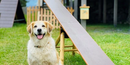 Hundehotel - Hundewiese: eingezäunt - Mariapfarr - Stacey - Agility Spielplatz - Wippe - Almdorf Seinerzeit