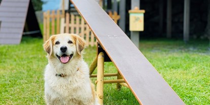 Hundehotel - Hundewiese: eingezäunt - Oberaichwald - Stacey - Agility Spielplatz - Wippe - Almdorf Seinerzeit