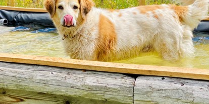 Hundehotel - Bademöglichkeit für Hunde - Sirnitz - Stacey Hundewiese - Almdorf Seinerzeit