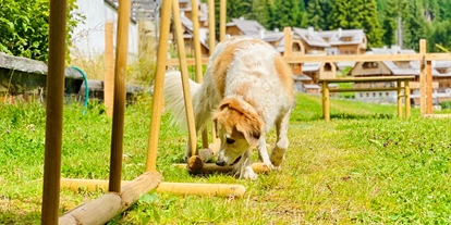 Hundehotel - Unterkunftsart: Ferienhaus - Rosenegg (Ebenthal in Kärnten) - Slalom Agility - Almdorf Seinerzeit
