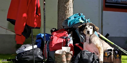 Hundehotel - Hundewiese: eingezäunt - Feld am See - Wander Eldorado für Vierbeiner - Hotel Aloisia