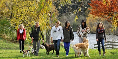 Hundehotel - Doggies: 2 Doggies - Plankenau - Hunde dürfen sich frei bewegen - Landgut Moserhof