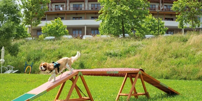 Hundehotel - Umgebungsschwerpunkt: Therme - Kogl im Burgenland - Urlaub mit Hund im Larimar - Hotel & Spa Larimar****S