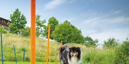 Hundehotel - Hundewiese: eingezäunt - Kogl im Burgenland - Hunde-Wellness- und Erlebnisbereich - Hotel & Spa Larimar****S