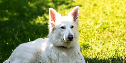 Hundehotel - Doggies: 4 Doggies - Graun im Vinschgau - Haushund Yuki - Hotel & Residence Der Heinrichshof