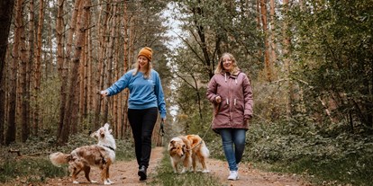 Hundehotel - Klassifizierung: 4 Sterne - Spaziergang im Warper Wald - Okelmann's