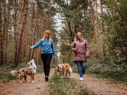 Hundehotel - keine Leinenpflicht im Hotel - Spaziergang im Warper Wald - Okelmann's