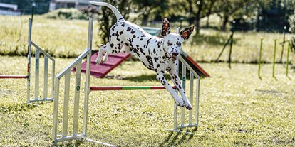 Hundehotel - Klassifizierung: 4 Sterne - PLZ 6993 (Österreich) - Action auf der Hundewiese - Unsere Agility Geräte sind neben unserem hoteleigenen Hundebadeteich das Highlight für unsere vierbeinigen Gäste - Hundehotel Riederhof
