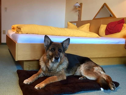 Hundehotel - keine Leinenpflicht im Hotel - Sankt Oswald-Riedlhütte - Pension Sonnleit´n Ihr Urlaub mit Hund 