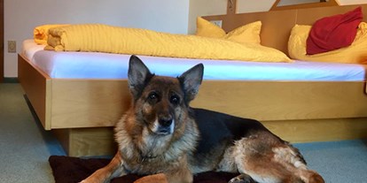 Hundehotel - Umgebungsschwerpunkt: Fluss - Pension Sonnleit´n Ihr Urlaub mit Hund 