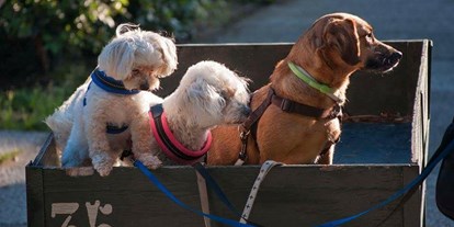 Hundehotel - Doggies: 5 Doggies - Emilia Romagna - Feriendorf Spiaggia Romea