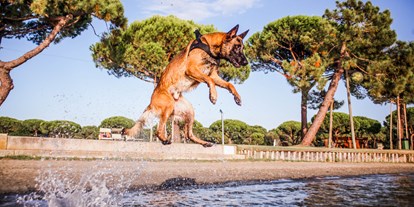 Hundehotel - Klassifizierung: 3 Sterne - Ferrara - Feriendorf Spiaggia Romea