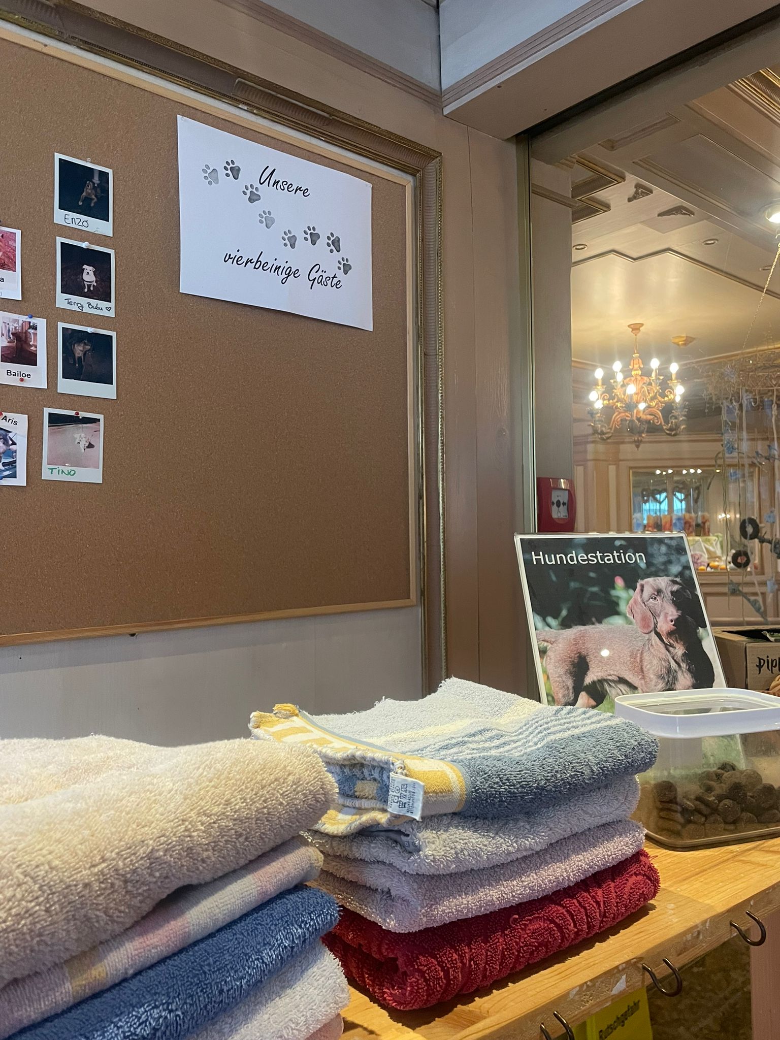 Urlaub-mit-Hund - Best Western Hotel Rhön Garden