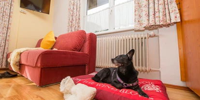 Hundehotel - Doggies: 2 Doggies - Plankenau - Pension Hubertus