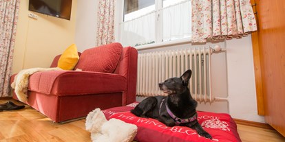 Hundehotel - keine Leinenpflicht im Hotel - Großarl - Pension Hubertus