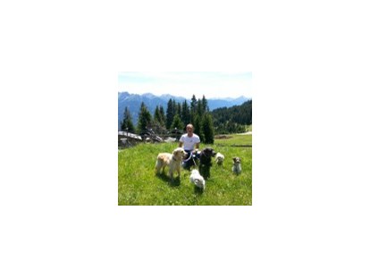 Hundehotel - Hundewiese: eingezäunt - Rauth (Nesselwängle) - Dogsitting und Hundetraining - Hotel Bergfrieden Fiss in Tirol