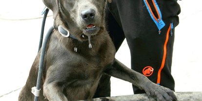 Hundehotel - Trink-/Fressnapf: an der Rezeption - Biberwier - Haushund Joya - Hotel Bergfrieden Fiss in Tirol