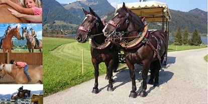Hundehotel - Tirol - Reitangebot - Kutschenfahrten, Equilino-Ponyclub, Unterricht für Anfänger und Fortgeschrittene - Reitanlage & Ferienwohnungen Dagnhof