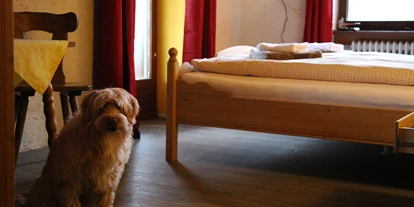 Hundehotel - keine Leinenpflicht im Hotel - Sankt Oswald-Riedlhütte - Pension Wildererhof