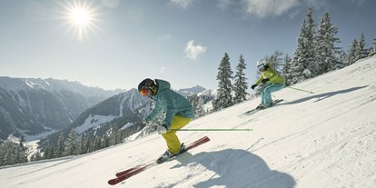 Hundehotel - Umgebungsschwerpunkt: am Land - PLZ 8990 (Österreich) - Skifahren in der Schladming Dachstein Region - Ferienhäuser Gerhart