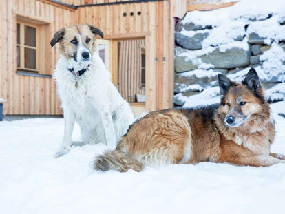 Hundehotel - keine Leinenpflicht im Hotel - Hutterer Böden - Urlaub mit Hund in den Ferienhäusern Gerhart - Ferienhäuser Gerhart