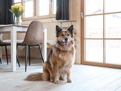 Hundehotel - Hundewiese: nicht eingezäunt - Imlau - Urlaub mit Hund  - Ferienhäuser Gerhart