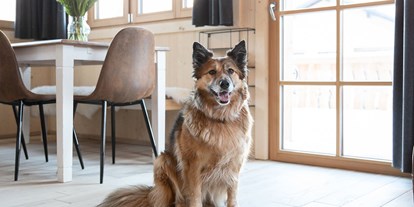 Hundehotel - Imlau - Urlaub mit Hund  - Ferienhäuser Gerhart