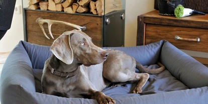 Hundehotel - keine Leinenpflicht im Hotel - Strub - Urlaub mit Hund im Chalet - Luxuslodge - Zeit zum Leben