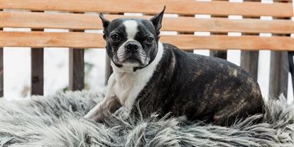 Hundehotel - Unterkunftsart: Chalets - Unterlengdorf - Luxuslodge - Zeit zum Leben