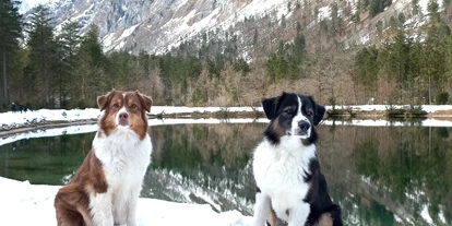 Hundehotel - Doggies: 3 Doggies - Mariapfarr - Luxuslodge - Zeit zum Leben