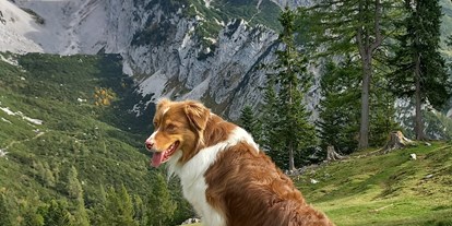 Hundehotel - Umgebungsschwerpunkt: Berg - Wörtherberg - Luxuslodge - Zeit zum Leben