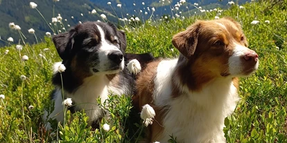 Hundehotel - keine Leinenpflicht im Hotel - Bad Aussee - Luxuslodge - Zeit zum Leben