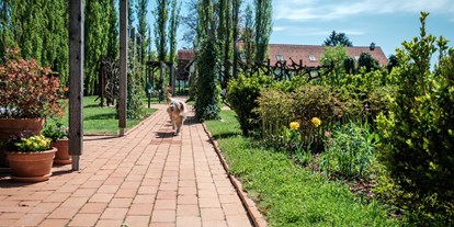 Hundehotel - Preisniveau: günstig - Hund im Garten - Das Eisenberg