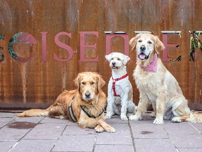 Hundehotel - Klassifizierung: 4 Sterne - Welcome Dogs  - Das Eisenberg