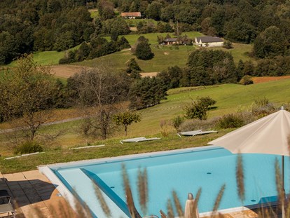 Hundehotel - Pools: Außenpool beheizt - Panorama Pool  - Das Eisenberg