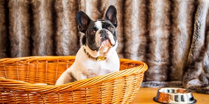 Hundehotel - Hund im Restaurant erlaubt - Paßhammer - Hotel Hofwirt