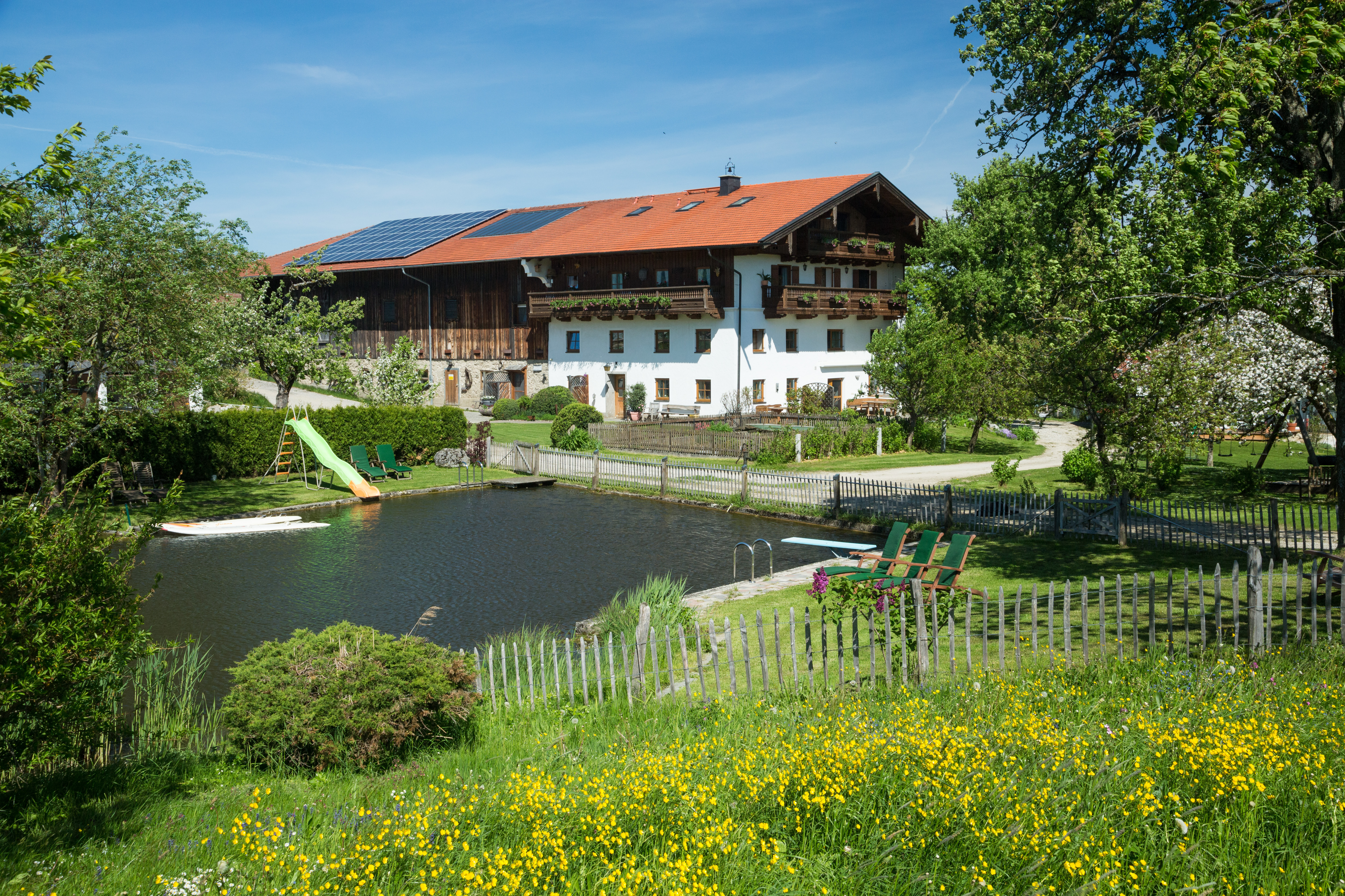 Urlaub-mit-Hund - Seimehof: idyllische Alleinlage mit Naturbadeteich, Liegewiesen, Bergblick - Seimehof