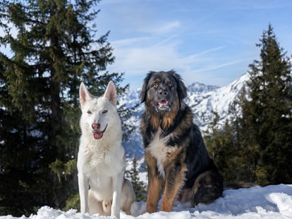 Hundehotel - Hundewiese: nicht eingezäunt - Hohlwegen - Puradies Naturresort