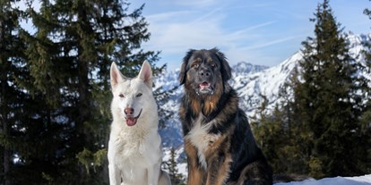 Hundehotel - Verpflegung: Frühstück - PLZ 5761 (Österreich) - Puradies Naturresort