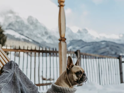 Hundehotel - Hundewiese: nicht eingezäunt - Going am Wilden Kaiser - Puradies Naturresort