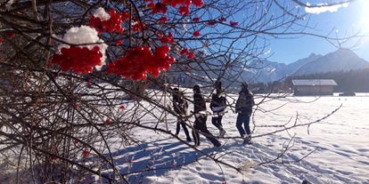 Hundehotel - Hundewiese: nicht eingezäunt - Durach - Hunde-Spaziergang mit Blick auf die Allgäuer Schnee-Berge - Das BERGESGRÜN