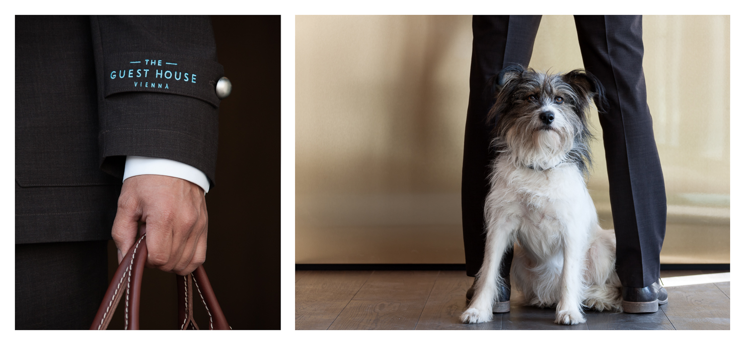 Urlaub-mit-Hund - The Guesthouse Vienna