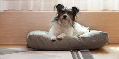 Hundehotel - barrierefrei - Eggendorf im Thale - The Guesthouse Vienna