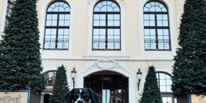 Hundehotel - Besorgung Hundefutter - Königstein/Sächsische Schweiz - Hotel Taschenbergpalais Kempinski Dresden