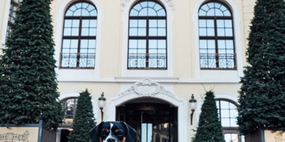 Hundehotel - Klassifizierung: 5 Sterne S - Großpostwitz/Oberlausitz - Hotel Taschenbergpalais Kempinski Dresden