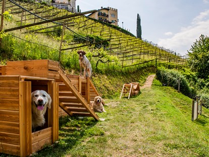 Hundehotel - Hundewiese: eingezäunt - Dorf Tirol - Hotel Mair am Ort