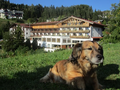 Hundehotel - Hundewiese: nicht eingezäunt - Mösern - Unser Gast Rexi fühlt sich im 20.000m² großen Panoramagarten "pudelwohl" - Inntalerhof - DAS Panoramahotel